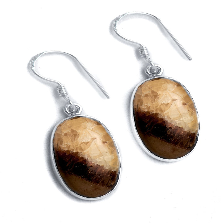 Septarian Earrings (B30E01)