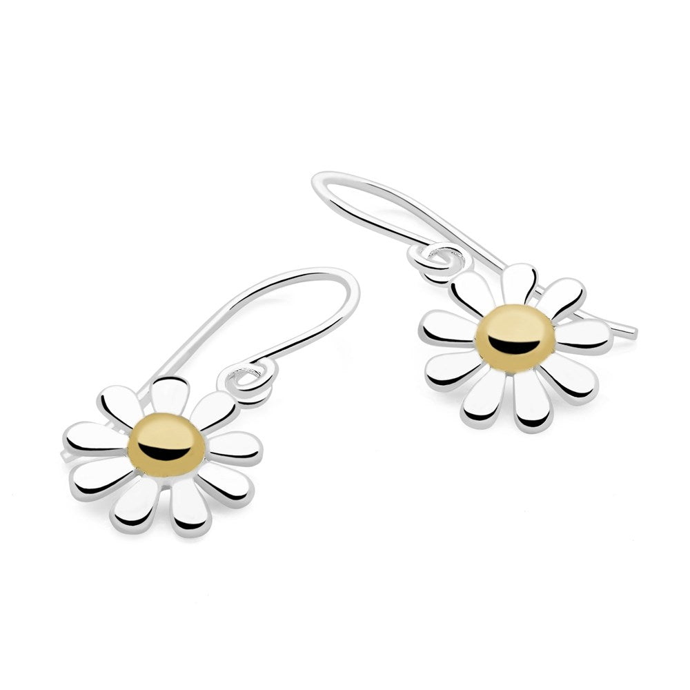 Silver earrings outlet online shopping